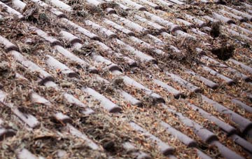 Vastern roof cleaning companies